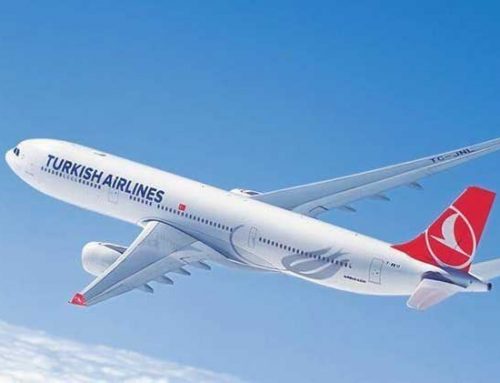 ترکیش ایرلاینز پروازهای خود به خارج از کشور را متوقف می‌کند
